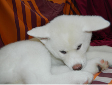 DSCN1239.jpg
