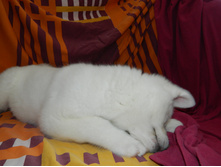 DSCN1246.jpg