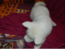 DSCN1254.jpg