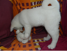 DSCN1256.jpg