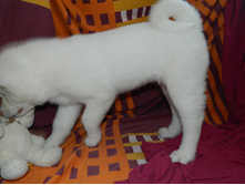 DSCN1257.jpg