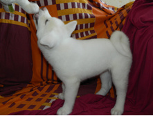 DSCN1259.jpg