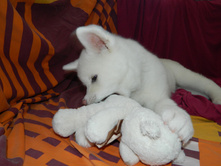 DSCN1261.jpg