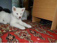 DSCN1266.jpg