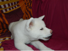 DSCN1267.jpg