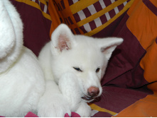 DSCN1271.jpg