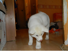 DSCN1274.jpg