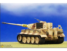 Tig1.JPG