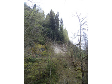DSC02492.JPG