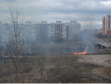 DSCF5181.jpg