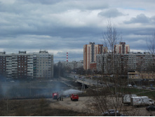 DSCF5184.jpg