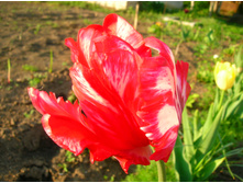 DSCN2549.JPG