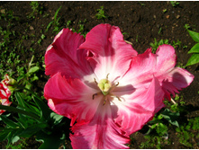 DSCN2573.JPG