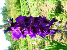 DSCN2931.JPG