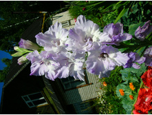 DSCN2932.JPG