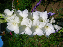 DSCN2938.JPG