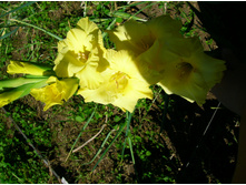 DSCN2952.JPG