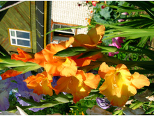 DSCN2977.JPG