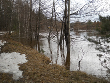 DSCN1315s.JPG