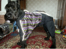 20130407_142553.jpg