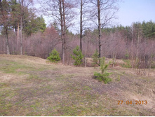 DSCN2282.JPG