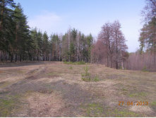 DSCN2283.JPG