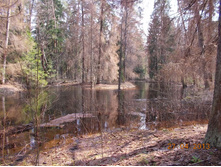 DSCN2289.JPG