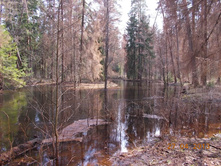DSCN2290.JPG