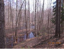 DSCN2294.JPG