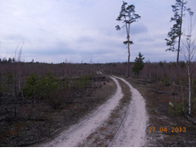 DSCN2296.JPG