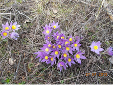 DSCN2298.JPG