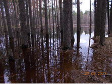 DSCN2307.JPG