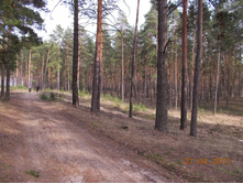 DSCN2313.JPG