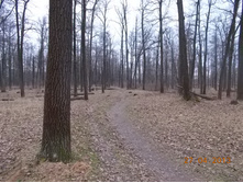 DSCN2333.JPG