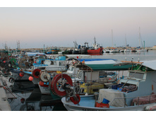 IMG_4480.JPG