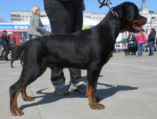 DSCN1281.JPG