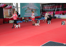 IMG_5286.JPG