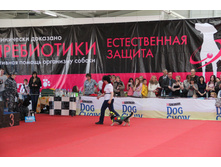 IMG_5619.JPG