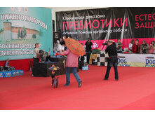 IMG_5620.JPG
