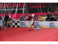 IMG_5621.JPG
