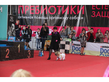 IMG_5633.JPG