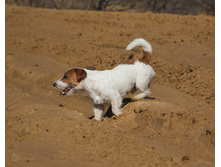 IMG_8945.jpg