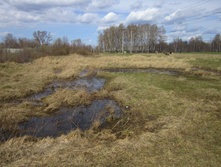 IMG_0674.JPG