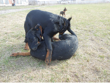 DSCN1328.JPG