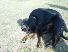 DSCN1365.JPG