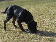 DSCN1358.JPG