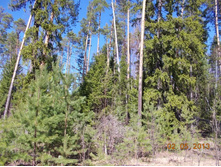 DSCN2430.JPG