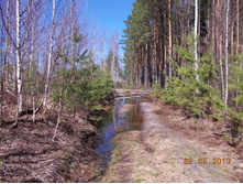 DSCN2432.JPG