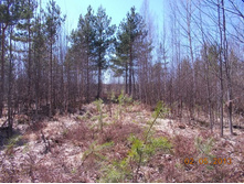 DSCN2443.JPG