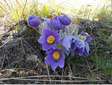 DSCN2445.JPG